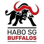 habo_buffalos